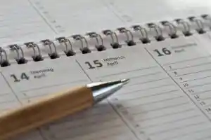 290 Dias São Quantos Meses