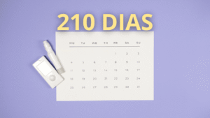 210 dias são quantos meses