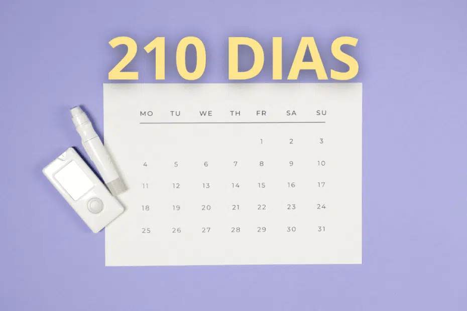 210 dias são quantos meses