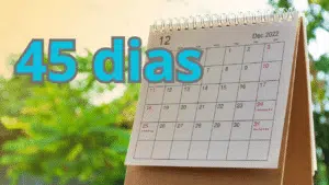45 dias são quantos meses