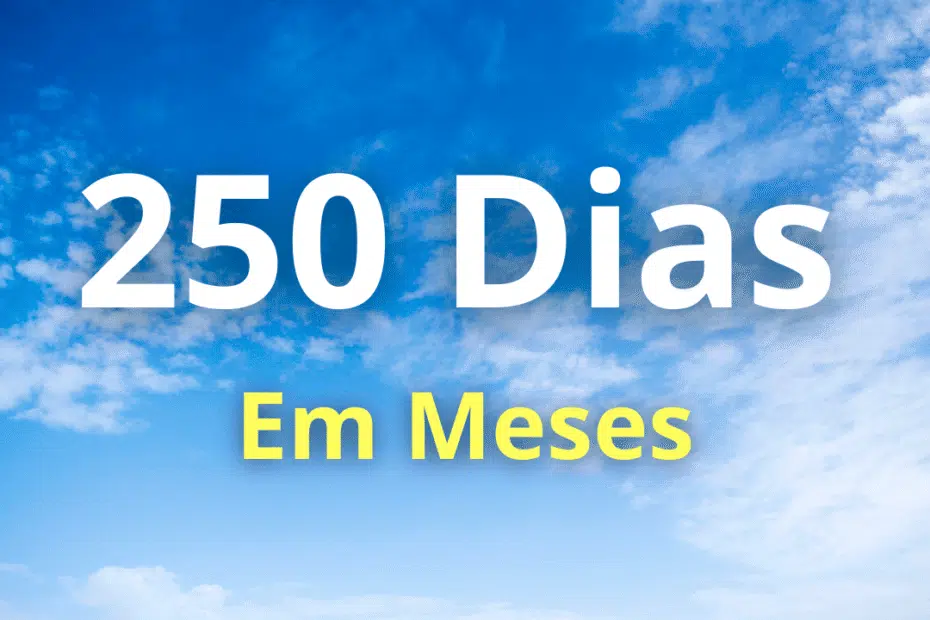 250 Dias São Quantos Meses