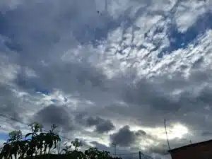 280 Dias São Quantos Meses